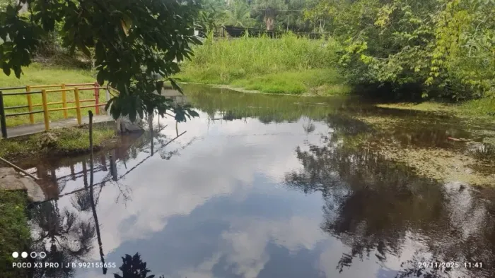 SITIO OU CHACARA NA AV DAS FLORES AO LADO DA AM 10