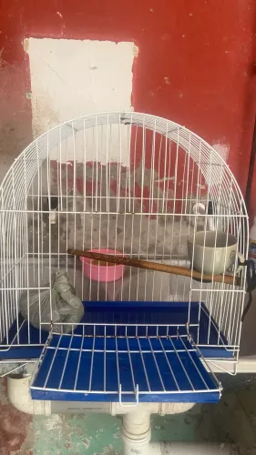 Gaiola