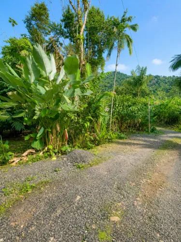 Vendo terreno no Ubatumirim