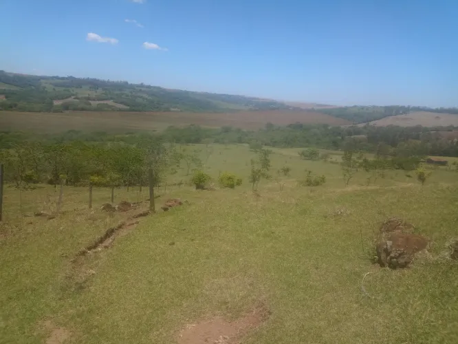 Pasto para cavalo