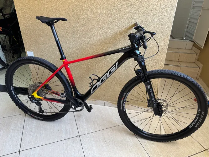 Oggi Agile Sport