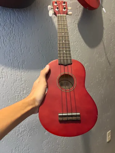 Ukulele Vogga