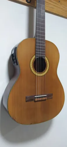 Violão Elétrico Tagima Ipanema