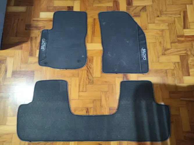 Tapetes Citroen C4 Cactus 