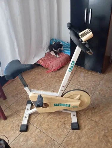 Bicicleta ginástica
