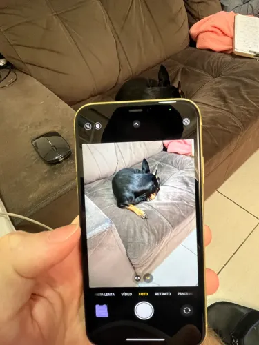 iPhone 11 - 64gb (500,00)