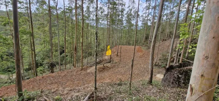 Terrenos rurais em Rodeio - Abíssinia
