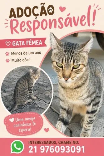 DOAÇÃO GATA