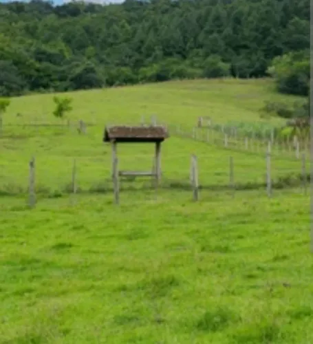 FAZENDAS PARANÁ- Oportunidade única