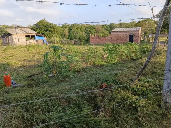 Terreno em Carutapera