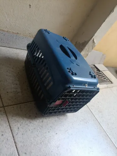 Caixa de transporte animal rígida