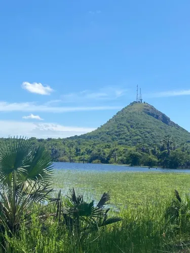 Vende-se Imóvel em Itaiçaba(do lado da Serra com Lagoa e braço de Rio) - 111 hectares