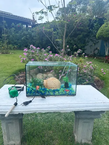 Aquário Completo para Peixes