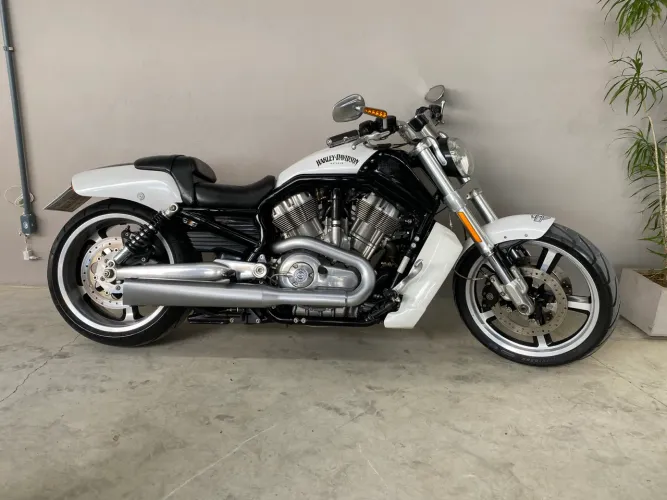 Harley-Davidson V-Rod Muscle VRSCF 2013 - Branca, 30.000 km, Ícone do Estilo e Performance