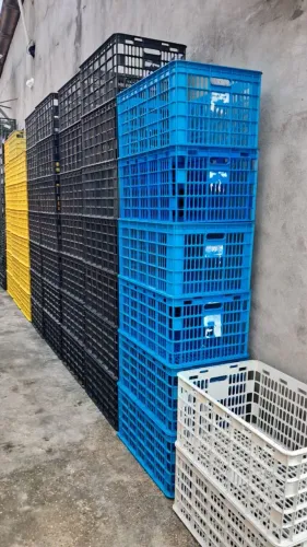Cestas Plásticas para Produção Rural.. contato *