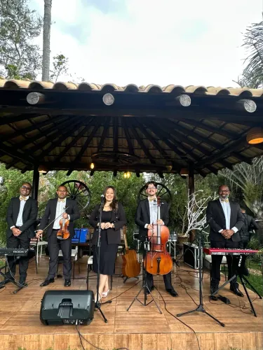 Musical para casamentos e Eventos