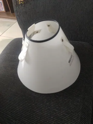 Colar elizabetiano para cão