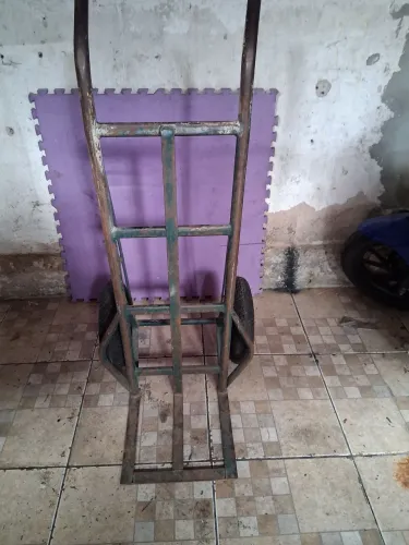 Carrinho de carga 300kg 
