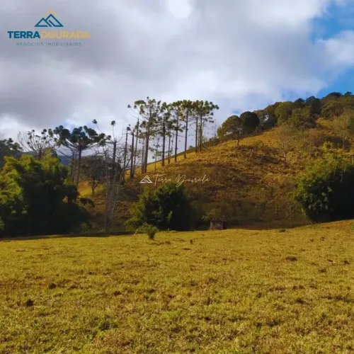 Terreno para venda em Santo Antônio do Pinhal - SP