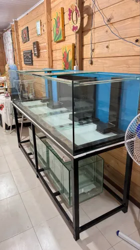 Aquário 600 litros