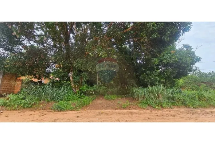 Lote à Venda  Nova Araguaína