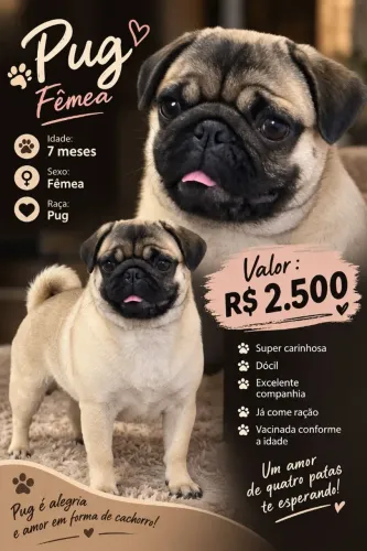 Pug