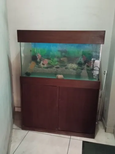 Aquário 200L com móvel