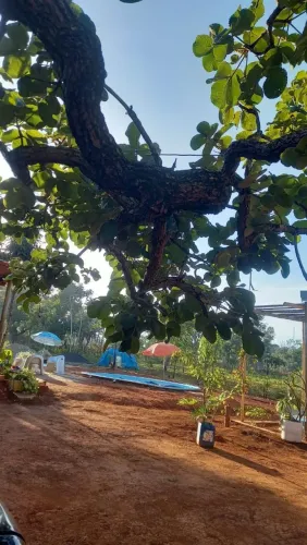 Vendo Chácara no  setor de chácaras Marajoara