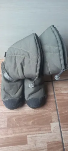 Bota