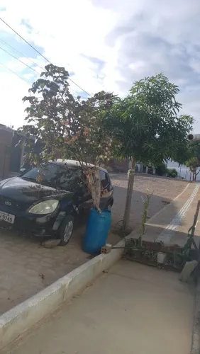 Joana Cleide da Silva 