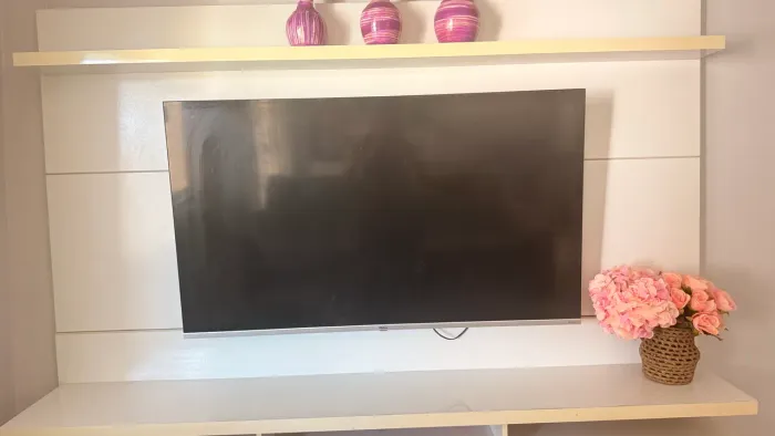 Vendo TV 55 polegadas