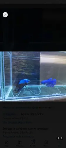 Arquario pra betta 25 litros