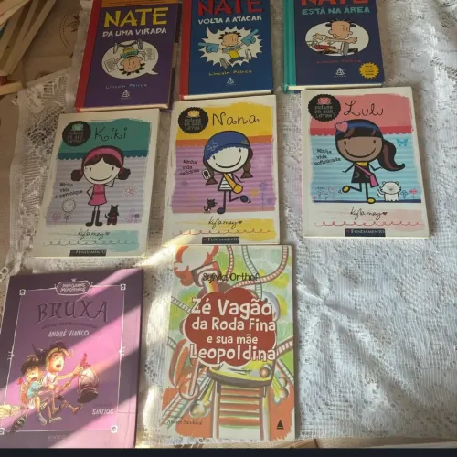 Lote de livros 