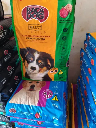 Raça dog filhote 