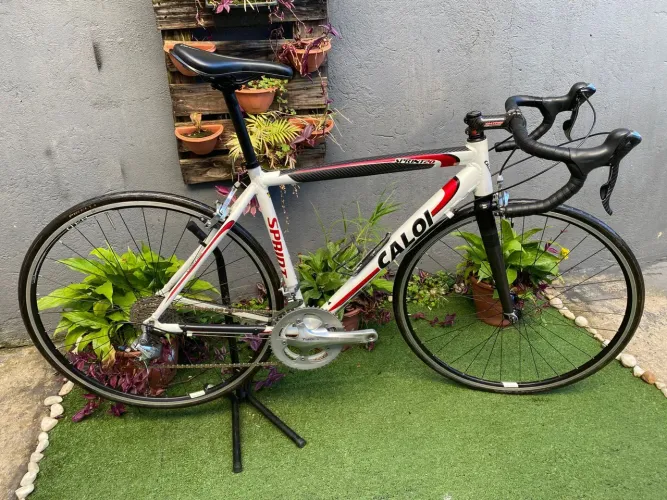 Speed caloi Sprint tamanho M 50 cm