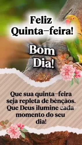 Luluzinho da parmerania ursinho anãozinho