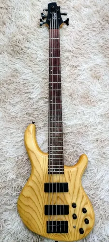 Cort action dlx 5 circuito Mark Bass