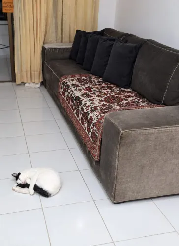 Vendo sofá luxo ,com 3 lugares ,em tecido de veludo