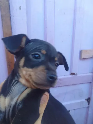 Vendo machinho0