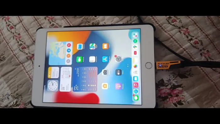 Apple ipad mini4 usado