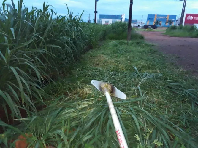 Serviço de Jardinagem