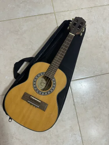 Cavaquinho elétrico Terra Brasil