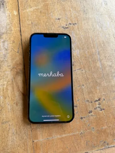 iPhone 13 Pro Max 256G