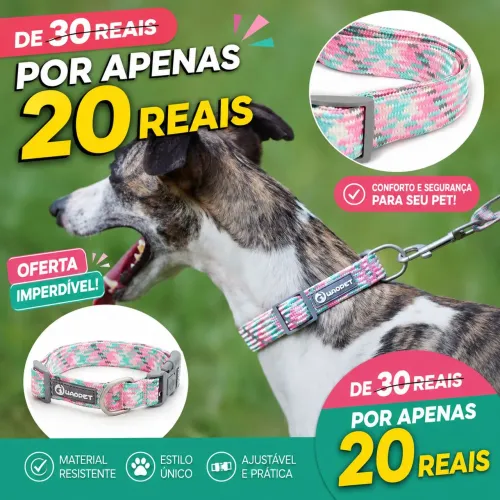 Coleira Pet Tam. 15cm Ajustável 