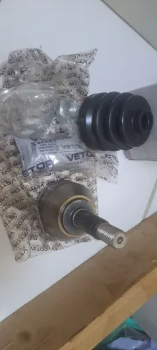 Homocinetica Clio 1.0