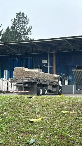 Ford cargo