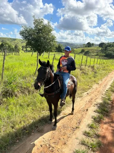Cavalo ligeiro bom de campo