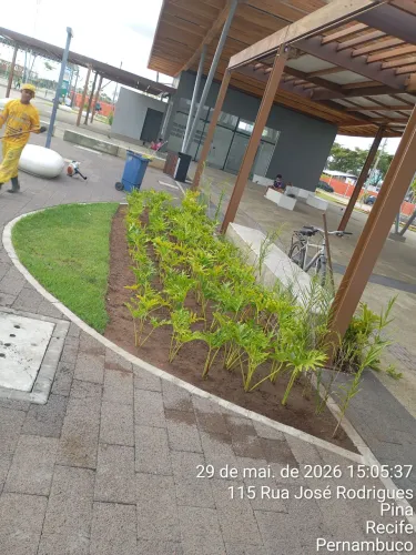 Paisagismo roçador profissional marque seu horário