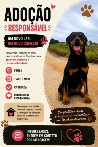 Rotwailer fêmea 