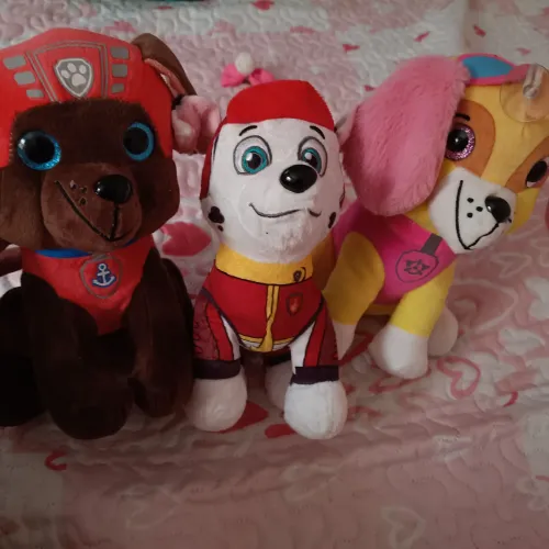 Urso trio